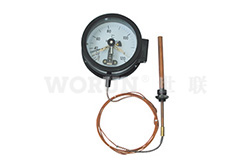 WTZ/WTQ-288系列电接点压力式温度计